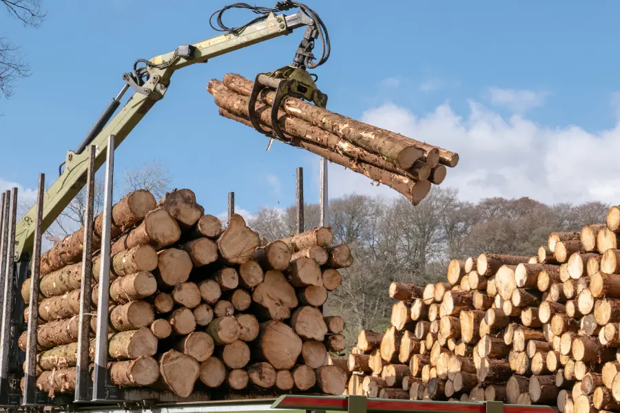 Logging