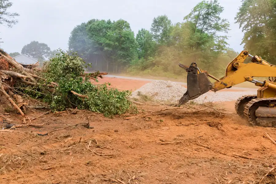 Lot Clearing